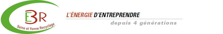 Website Logo